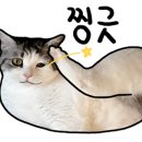 한동농장 이미지