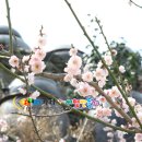 섬진농원 이미지