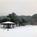 쿨쿨팜