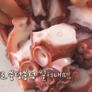 문어집 이미지