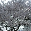 시골민박 이미지