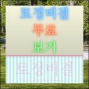 토정비결 무료보기 사이트