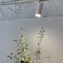 프로그커피브루어리 이미지