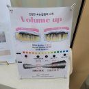 예일복합타워 | 동두천 지행 속눈썹 펌 올가 스킨