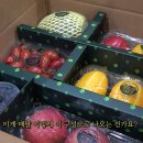 제일농산물