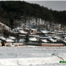 알품는 마을 이미지