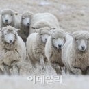 상서목장 이미지