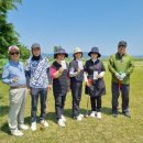 사파동320 이미지