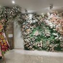 분당판교-D-2 이미지