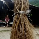 마지1리 이미지