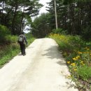 황우목장 이미지