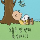 마이벌쓰데이(MY BIRTHDAY)