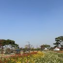 [안성ㅣ화성 향남] 팜랜드 / 스타필드 / 이마트 트레이더스 / 향남애 보리밥 앤 이베리코흑돼지 / 설빙