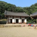 정혜사 Daum카페