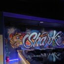 못난이샤크 실내바다낚시터 이미지