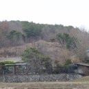 청주경씨 시조묘역 이미지