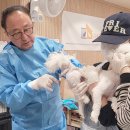 케이디메디칼 이미지