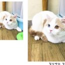 잘나가는멋쟁이