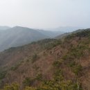 배치농장 이미지