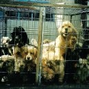 성한농장 이미지