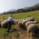 씨알목장 이미지