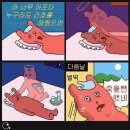 매일크리스마스 이미지