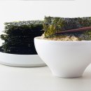 다올3호 이미지