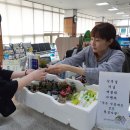 남이면사무소 이미지