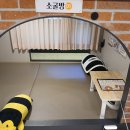 벌툰 - 전주시 완산구 홍산남로 56 | 벌툰