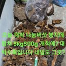 무진장주유소 이미지