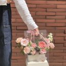 지니플레르
