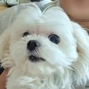 일상기록_23년 11월 1부