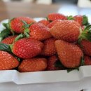 돈다산농장 이미지