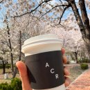 리치밸리 | 판교 블루리본 카페 알레그리아 커피 판교테크노밸리점 내돈내산 후기