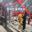롯데월드몰챔피온 | [잠실 아이랑 가볼 만한 곳] 챔피언 블랙벨트 키즈카페 롯데월드 몰점 KT 할인정보, 솔직후기