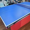 탁구 | 탁구 라버 교체 후기 (GEWO 추천+특가 구매 팁)