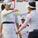 메간 캉에게 LPGA 첫승 안긴 고진영의 &#39;흐뭇한 미스샷&#39; 이미지