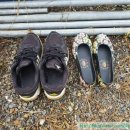 다두농장 이미지