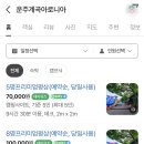 완주 운주계곡 ‘아로니아’ 후기 (평상 추천, 예약 및 가격안내, 수영장)