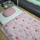 주식회사 몸이편안 | 허리가 편안했던 11존 토퍼 매트리스, 침대와 바닥 모두 만족한 11존 토퍼 사용후기