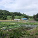 일구농장2 이미지