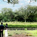 [주제가 있는 마을] (7) 제주 저지문화예술인마을 이미지