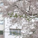 복현종합시장 입구 이미지