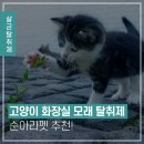 아라펫 이미지