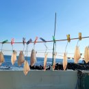 삼사리민박 이미지