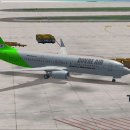 Default CRJ-700 Boeing 737-800 가상항공사 도색 이미지
