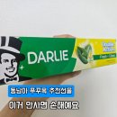 달리미네 | 베트남 푸꾸옥 기념품 달리미백치약 선물 받은 추천후기