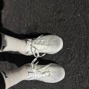 경안천 | 아식스 노바블라스트5 신고 런닝 기록 줄인 후기, 에버랜드 경안천 런닝