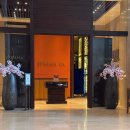 드림주유소 | 괌 여행 머스탱 렌트 비용 및 후기 : 드림렌트카