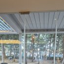 밀키스테이 이미지